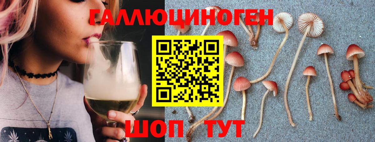 Псилоцибиновые грибы прущие грибы Лысьва